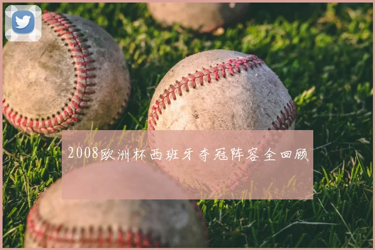 2008欧洲杯西班牙夺冠阵容全回顾