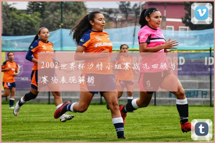 2002世界杯沙特小组赛战况回顾与赛场表现解析