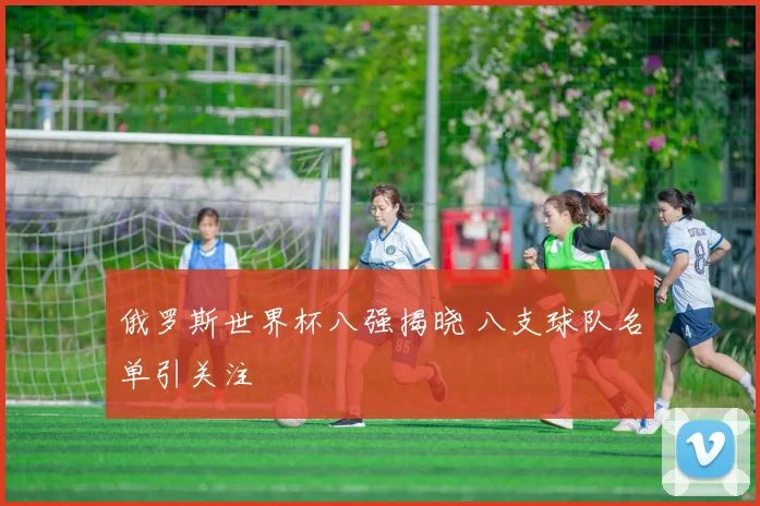 俄罗斯世界杯八强揭晓 八支球队名单引关注