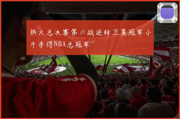 热火总决赛第六战逆转卫冕冠军小牛夺得NBA总冠军