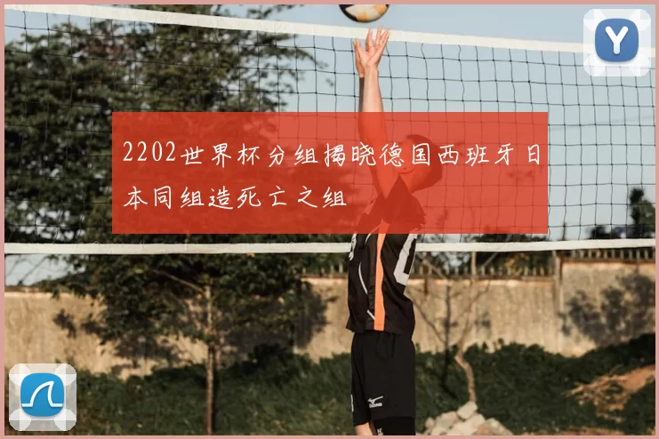 2202世界杯分组揭晓德国西班牙日本同组造死亡之组
