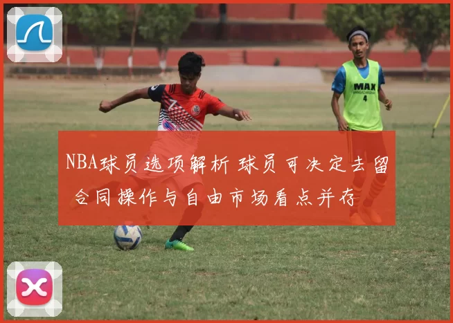 NBA球员选项解析 球员可决定去留 合同操作与自由市场看点并存