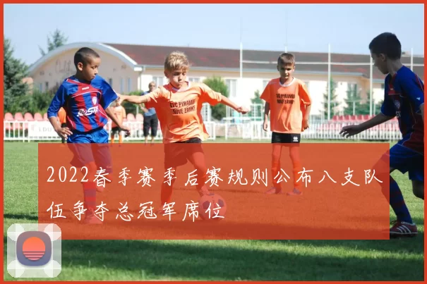 2022春季赛季后赛规则公布八支队伍争夺总冠军席位